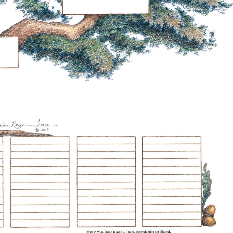Peut inclure: Un tableau g&eacute;n&eacute;alogique vierge avec une illustration dessin&eacute;e &agrave; la main d'un arbre aux feuilles vertes et aux branches brunes en haut. Le tableau comporte trois colonnes avec des espaces lign&eacute;s pour &eacute;crire des noms. Le texte en bas indique "2015 W.R. Troup & Jane C. Troup. Reproduction interdite."