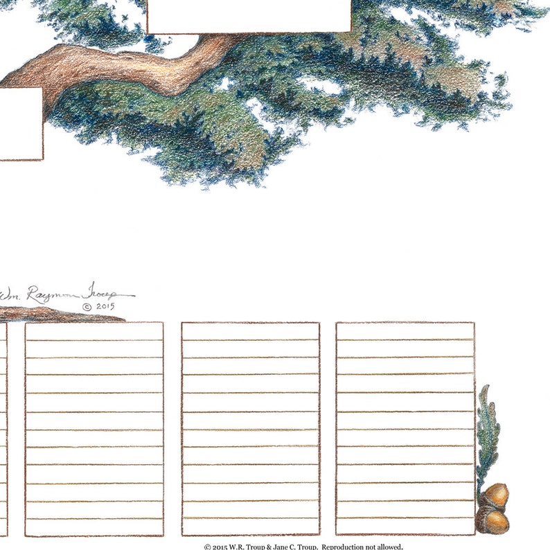 9 Generation Family Tree Chart on Fine Paper by Artist Raymon Troup image 4