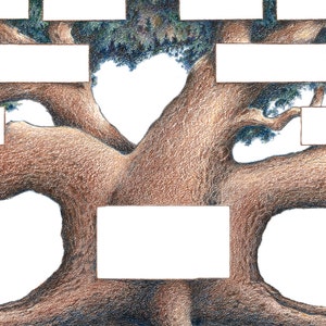 Peut inclure: Un grand arbre brun avec des branches &eacute;paisses et un tronc large. L'arbre est dessin&eacute; dans un style r&eacute;aliste avec des ombres et des textures d&eacute;taill&eacute;es.