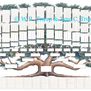 Peut inclure: Un arbre g&eacute;n&eacute;alogique vierge en forme d'arbre avec des branches brunes et des feuilles vertes. Le tableau comporte des espaces pour les noms et les dates. Le texte "&copy; W.R. Troup & Jane C. Troup" est en haut du tableau.