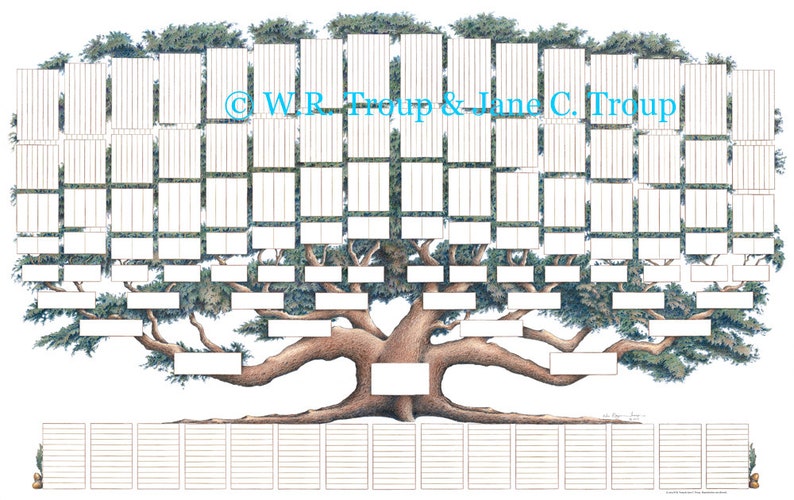 Stammbaum-Diagramm der 9. Generation auf feinem Papier vom Künstler Raymon Troup Bild 2