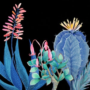 Night succulents garden - illustration - giclee  print