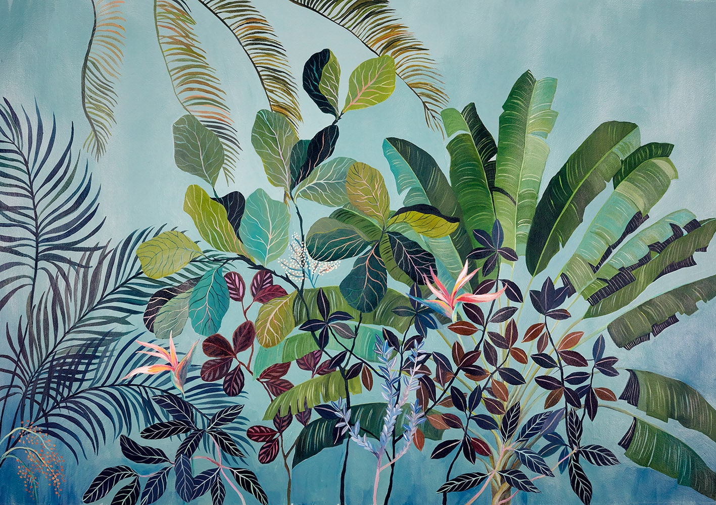 Birds  of  Paradise - illustration - giclee print