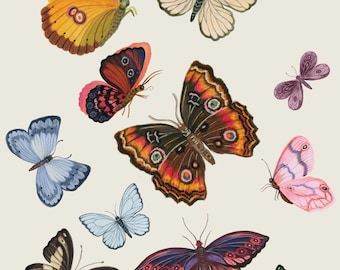 Butterflies Giclee print- Botanical illustration