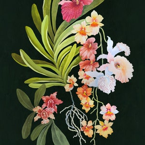 Hanging Orchid Garden  - illustration - giclee  print