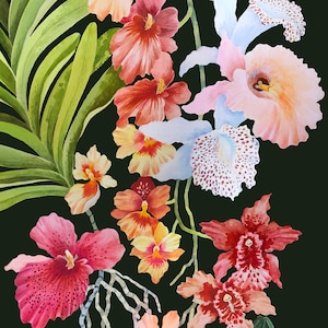 Hanging Orchid Garden - New Version! - illustration - giclee  print