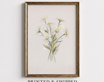 April Geburtsmonat Blumenkunst, Gänseblümchen Aquarelldruck, handgezeichnetes botanisches Gemälde, gedrucktes & versendetes Poster