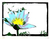 Forest Park - St. Louis, Missouri screen print art