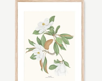 Impression aquarelle de fleur de magnolia, Botanique, Dessin vintage, Illustrations de fruits, Peintures, Décoration murale, Impression décorative, Peinture de cuisine