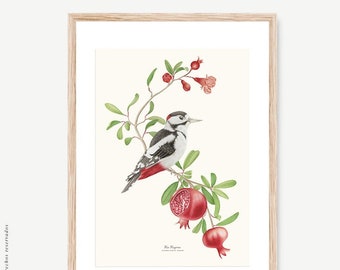 woodpecker bird botanical poster, Ornithologist, Pomegranate, Botanical illustrations, Wall decor, Decorative print, Watercolor, Picidae