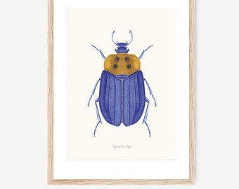 Beetle Necrophila: Entomology watercolor ilustration. Botanical Drawings of insects - Home Decoration, Watercolor prints - Digital Prints