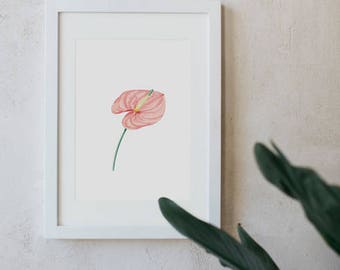 Llily Botanical, Watercolour flowers, Illustration, Digital prints