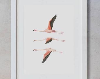 Flying Flamingo, Watercolour flamingo, Tropical Illustration, Framed prints, Handpainted, Art, Plants, Greenery, Wall Frame, Birds, Nature