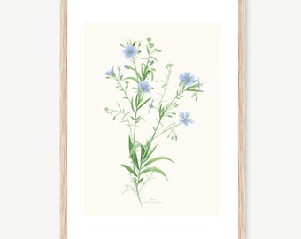 Medical and Aromatic Plants: Linen -Linum usitatissimum-, watercolour Illustration, Digital prints, Botanical Art, flower drawing, wall deco