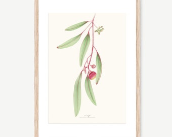 Beautiful eucalyptus watercolour Illustration, Digital prints, Art, Plants, Poster Hanger Frame, Wooden Hanger Frame