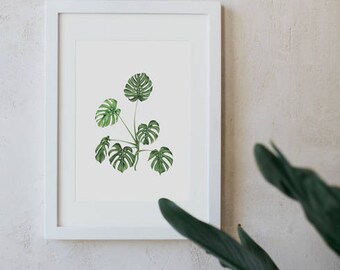 Monstera Botanical, Watercolour flowers, Illustration, Bulb, Herbal print, Art, Prints and Watercolor, Poster Hanger, Wooden Hanger frame