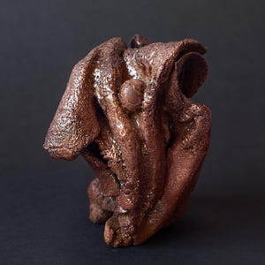 Può includere: Un oggetto in ceramica scultorea con una finitura marrone scuro, testurizzata e lucida. Il pezzo presenta forme irregolari, piegate e stratificate con una prominente protuberanza sferica integrata al centro della sua struttura complessa, organica e astratta.