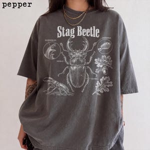 Insekt anatomi, entomologi, insekt, insekt, gåva, bekväma färger