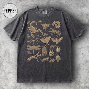 Op de afbeelding: Een antracietgrijs t-shirt met korte mouwen en een beige grafische print van diverse insecten, spinachtigen en kleine planten. Het shirt heeft een ronde hals en een vervaagde, gewassen stoftextuur. Het woord PEPPER staat in een cirkel gedrukt.