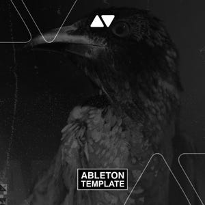 May include: A grayscale image featuring a detailed illustration of a bird's head and upper body. The bird has a dark beak and eye, with textured feathers. The text "ABLETON TEMPLATE" is displayed in a white rectangle at the bottom.