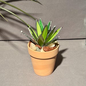 Puede incluir: Una planta suculenta de vidriera hecha a mano en una maceta de terracota pequeña. La suculenta presenta hojas de vidrio verdes y amarillas vibrantes, acentuadas con soldadura plateada. Pequeños guijarros rodean la base de la planta.