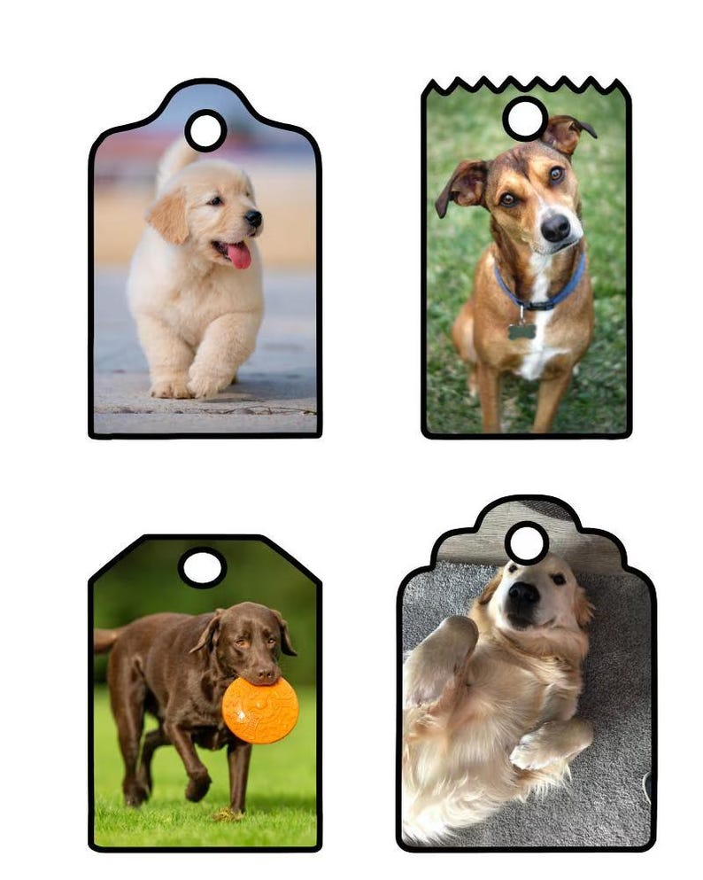 Dog Tag Display In Store 70+ Dog Tag Canva Template, Pet Tag Frames, Military Style Name Tag ...