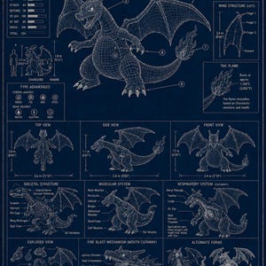 May include: Blueprint-style poster of Charizard, a Flame Pokémon, featuring detailed anatomical diagrams, skeletal and muscular systems, and alternate forms. Includes height, weight, and base stats. The poster is 1.7 m (5'07") tall and weighs 90.5 kg (199.5 lbs).