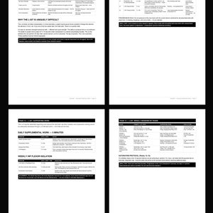 May include: Four-page document with black text on a white background. The pages detail the L-Sit exercise, including movement breakdown, physical demands, level progression, supporting work, and weekly sessions. The document is designed for fitness training.