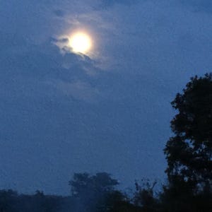 May include: A nighttime landscape featuring a bright, glowing moon partially obscured by dark clouds. The sky is a deep blue, and the silhouette of trees is visible in the foreground.