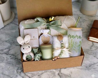 New Baby Gift Box, Congrats On Your New Baby, New Mama Succulent Gift Box, Congratulations Pregnancy Gift Set, Live Succulent Care Package