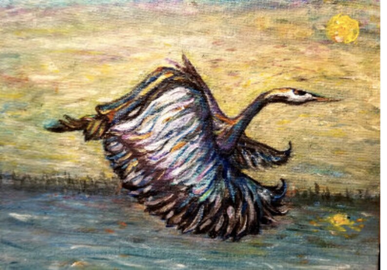 Animal Art Cards 8 pack