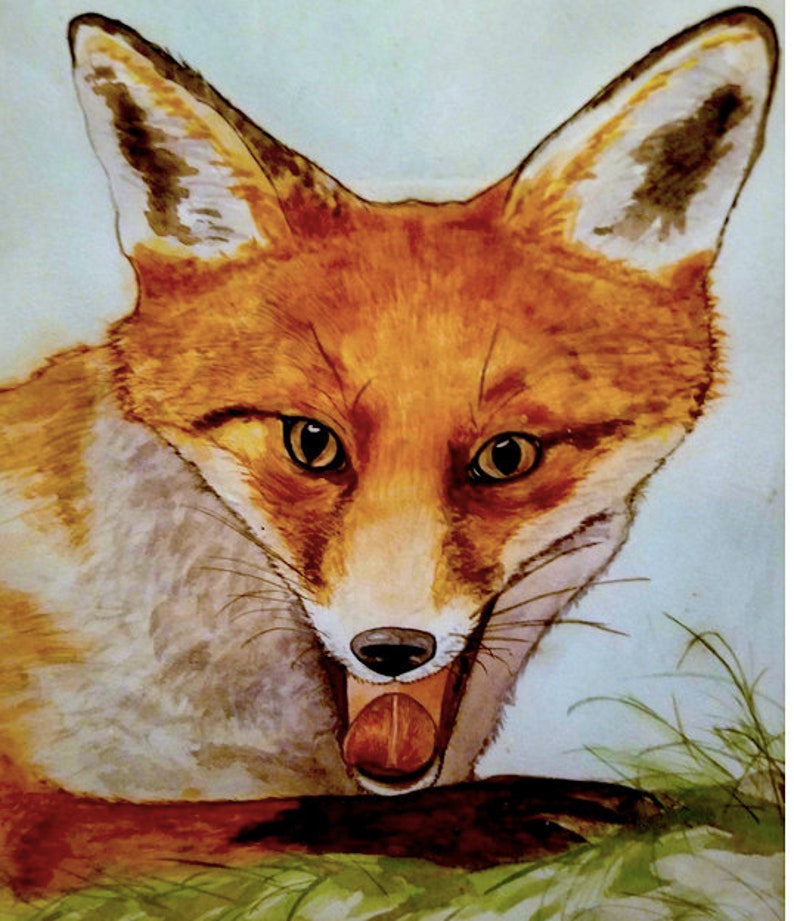 Animal Art Cards 8 pack