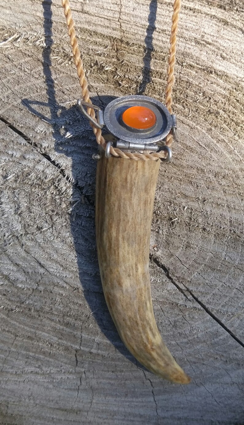 Elk Antler Pendant Medicinal Plant Container Celtic Knot