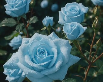 Art mural rose bleue, photographie florale de rêve, décoration botanique romantique (impression numérique)