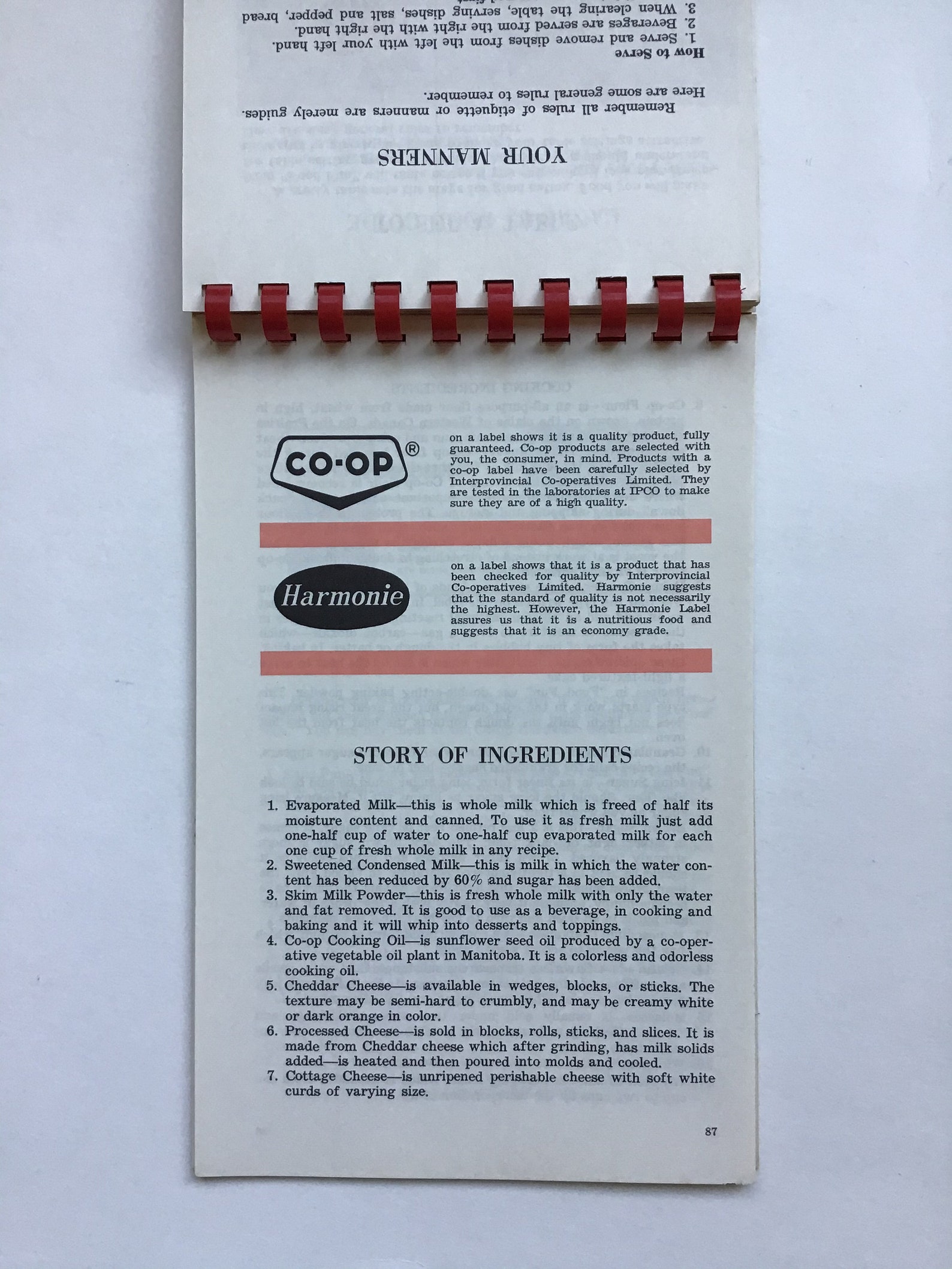 Co Op Food Fun Coilbound Cookbook Etsy