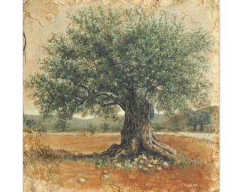 Ancient Olive Tree, Botanical Wall Art Print, Pastoral Symphony