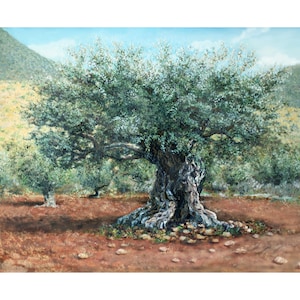 Handmade Holy Land Canvas Art: Ancient Olive Tree, Galilee - Signed Print