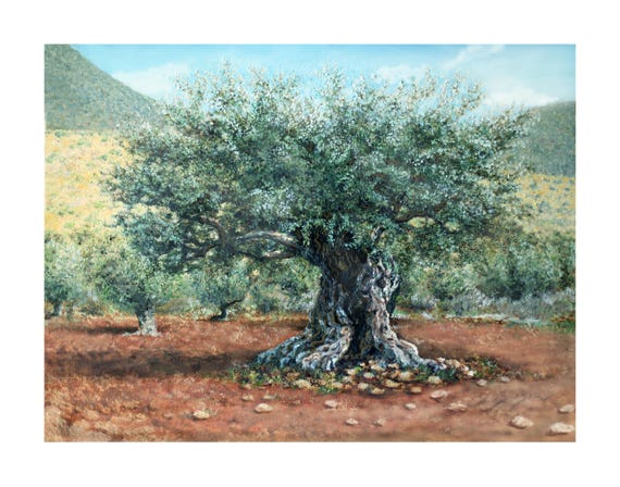 thuja d4 wirkung Purgrün Thuja-Smaragd-Dünger 1 kg main image 1