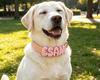 Gepersonaliseerde siliconen naamhalsband huisdier, aangepaste hondenketting, essentiële benodigdheden voor nieuwe honden, hondenliefhebber cadeau, pastel huisdierhalsband cadeau