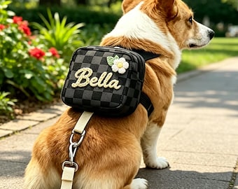 Custom Name Harness Set with Backpack, Doggy Outdoor Supplies, Pet Leash with Storage Pouch, Puppy Shower Gift, Dog Lovers Gift