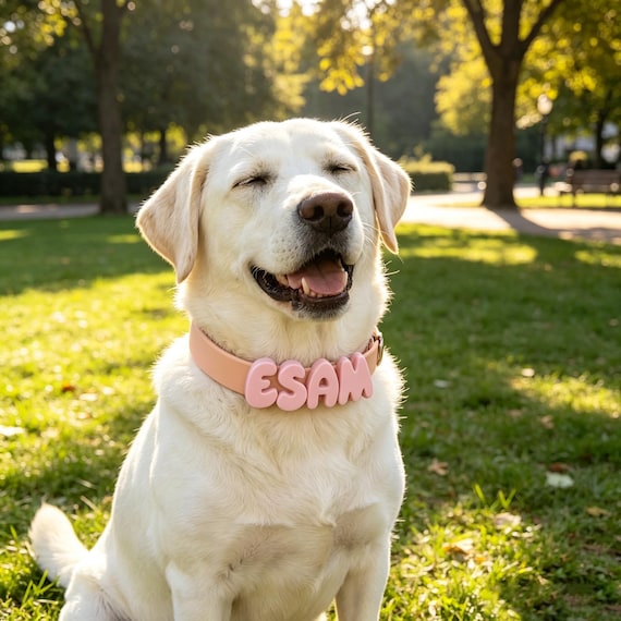 Personalied Pet Silicone Name Collar, Custom Dog Necklace, Essential Supplies for New Dogs, Dog Lover Gift, Pastel Pet Collar Gift