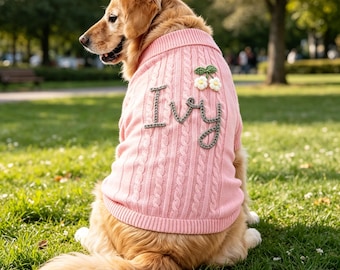 Aangepaste hondentrui met naam, geborduurde trui puppynaam, koosnaam buitenkleding, hondje handgemaakt cadeau, gepersonaliseerd cadeau hondenliefhebber