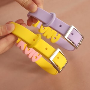 May include: Two silicone collars with metal buckles. One collar is light purple with yellow lettering, and the other is bright yellow with pink lettering. Each collar features a matching silicone loop and a silver-toned metal buckle closure.