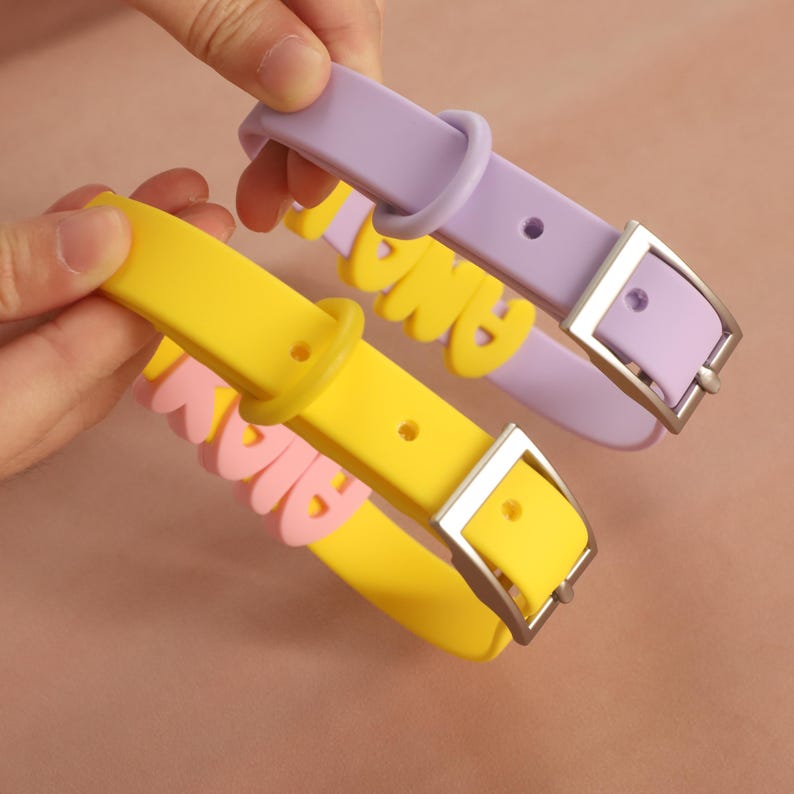 May include: Two silicone collars with metal buckles. One collar is light purple with yellow lettering, and the other is bright yellow with pink lettering. Each collar features a matching silicone loop and a silver-toned metal buckle closure.