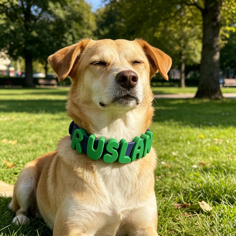 May include: A light tan dog with closed eyes wearing a dark blue collar featuring large, bright green, three-dimensional letters that spell out the name RUSLAN. The dog has short fur, floppy ears, and a brown nose, positioned in a grassy outdoor area.
