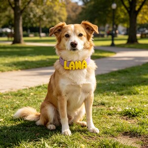 May include: A light purple dog collar featuring bright yellow, rounded, three-dimensional letters that spell out the name LAMA. The collar is worn around the neck of a medium-sized dog with tan and white fur, sitting upright in an outdoor setting.