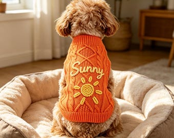 Handgeborduurde kleding met huisdiernaam, gepersonaliseerde huisdierentrui met naam, outfit voor uitjes met kat of hond, herfst- en winterbenodigdheden voor honden, verjaardagscadeau voor honden