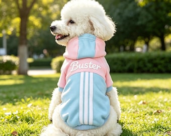Hoodie met kleurblokken en gepersonaliseerde huisdiernaam, winterjas voor puppy's, sweatshirt met geborduurde naam van kat of hond, puppykleding voor uitjes, cadeau voor honden