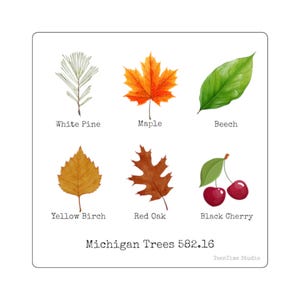 May include: A square print featuring watercolor illustrations of six different Michigan trees and fruits: White Pine, Maple, Beech, Yellow Birch, Red Oak, and Black Cherry. The text "Michigan Trees 582.16" is at the bottom.