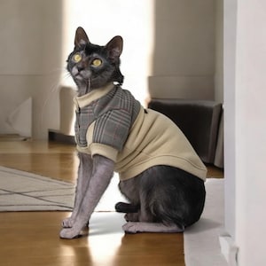 May include: A dark-furred cat wearing a beige and grey plaid sweater. The sweater features a ribbed collar and cuffs, with a solid beige back and a grey plaid front panel. The cat has large yellow eyes and is looking upward while sitting.